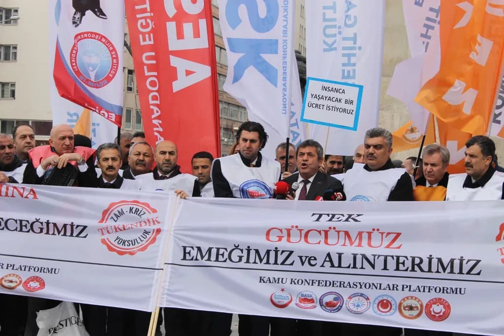 Saha Çalışmalarımız